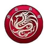 业务财务一体化，零售连锁管理，云服务